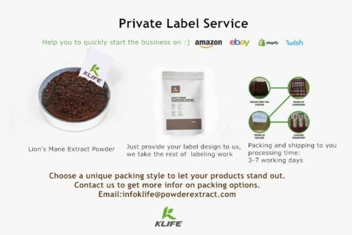 Provide Private Labe Amazon/AliExpress/Wish/Shopify Nootropic Medicinal Supplier Dried Lion's Mane Powder Organic Hericium Erinaceus Extract - Image 3