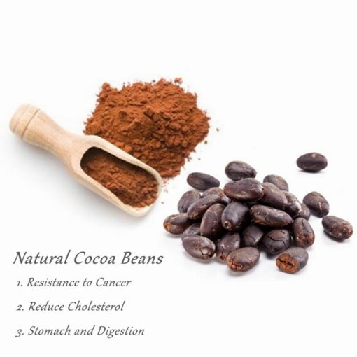 Supply Natural Cocoa Beans Extract Price Cocoa Powder Cocoa Chocolate Alternative | Certified Organic | Sugar-Free, Keto, Vegan and Non-GMO | Source of Nuts | Antioxidant Superfood - Image 3