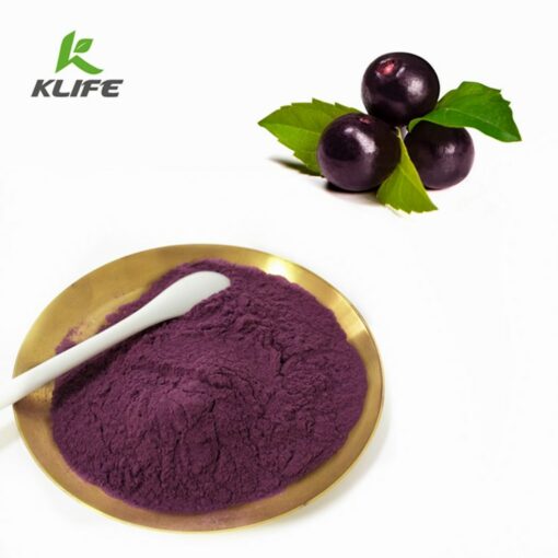 Provide control appetite and promote weight loss of acai berry freeze dried powder - Image 2