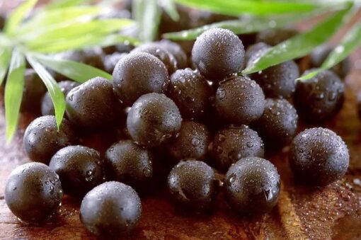Provide control appetite and promote weight loss of acai berry freeze dried powder - Image 5