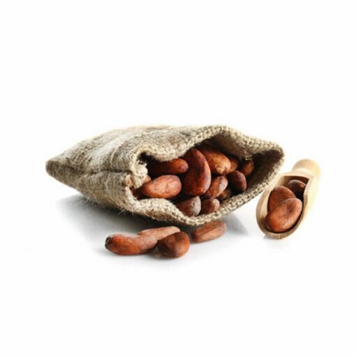 Supply Natural Cocoa Beans Extract Price Cocoa Powder Cocoa Chocolate Alternative | Certified Organic | Sugar-Free, Keto, Vegan and Non-GMO | Source of Nuts | Antioxidant Superfood - Image 6