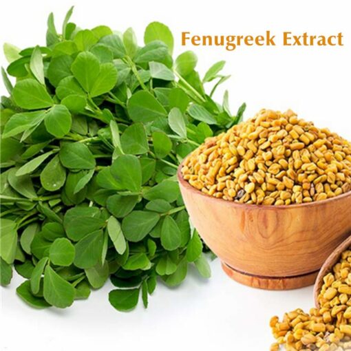 Organic Fenugreek Powder — Non-GMO, Raw, Ground Methi Seeds, Pesticide-Free, Pure, Vegan Superfood, Bulk, Great for Cooking, Drinks and Smoothies - Image 4