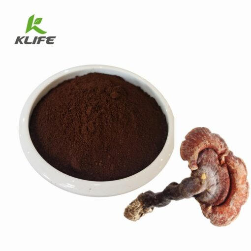Superfoods Organic Reishi Mushroom Powder - 100% Pure, Support energy, cardiovascular health and stress response, certified organic supplement
