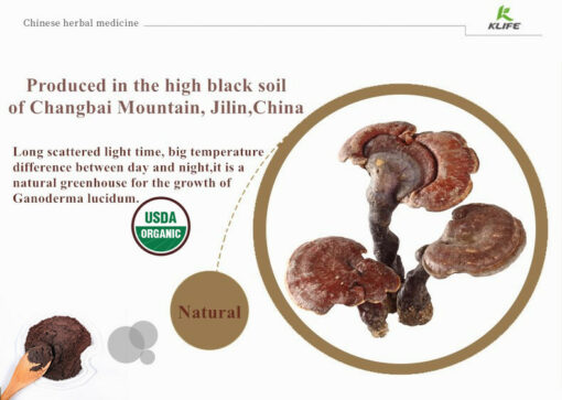 Superfoods Organic Reishi Mushroom Powder - 100% Pure, Support energy, cardiovascular health and stress response, certified organic supplement - Image 5