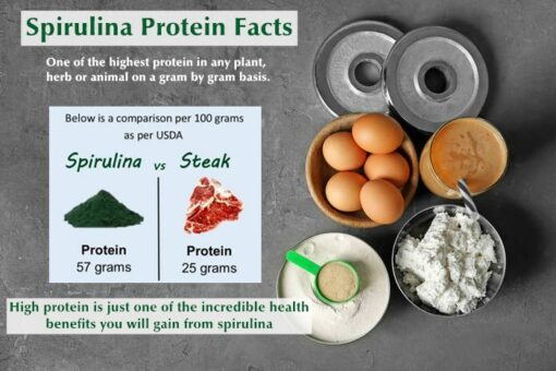 Organic Spirulina Tablets, 500 mg, 500 capsules, support the immune system, rich in vitamins, minerals, fatty acids, protein, chlorophyll and antioxidants, GMO and vegetarian free - Image 4