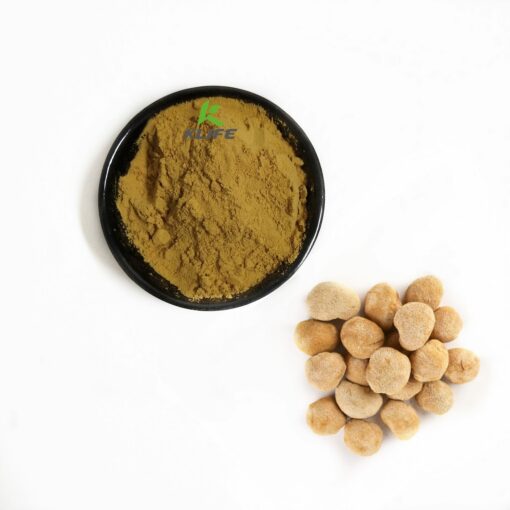 Health benefits Immune system enhancer, Nourish the stomach, lion's mane mushroom extract powder lions mane extract - Image 2