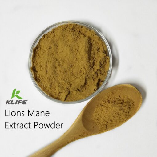 Health benefits Immune system enhancer, Nourish the stomach, lion's mane mushroom extract powder lions mane extract - Image 5