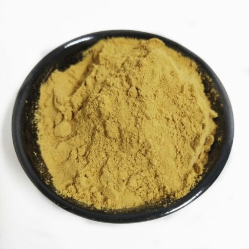 Health benefits Immune system enhancer, Nourish the stomach, lion's mane mushroom extract powder lions mane extract - Image 6