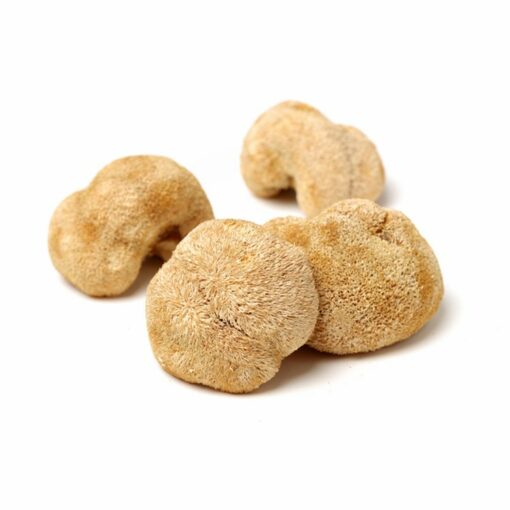 Health benefits Immune system enhancer, Nourish the stomach, lion's mane mushroom extract powder lions mane extract - Image 3