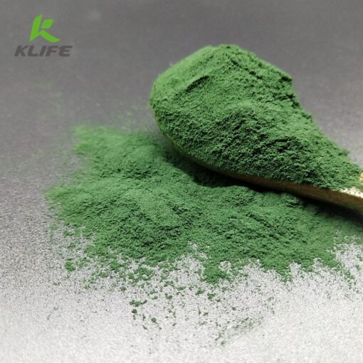 Organic spirulina powder: natural vegetarian food, supply folic acid, vitamin B12, iron, omega fatty acids, GLA, β-carotene, chlorophyll, amino acids