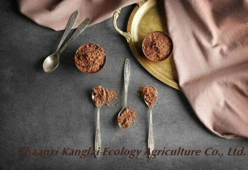 Supply Natural Cocoa Beans Extract Price Cocoa Powder Cocoa Chocolate Alternative | Certified Organic | Sugar-Free, Keto, Vegan and Non-GMO | Source of Nuts | Antioxidant Superfood - Image 7